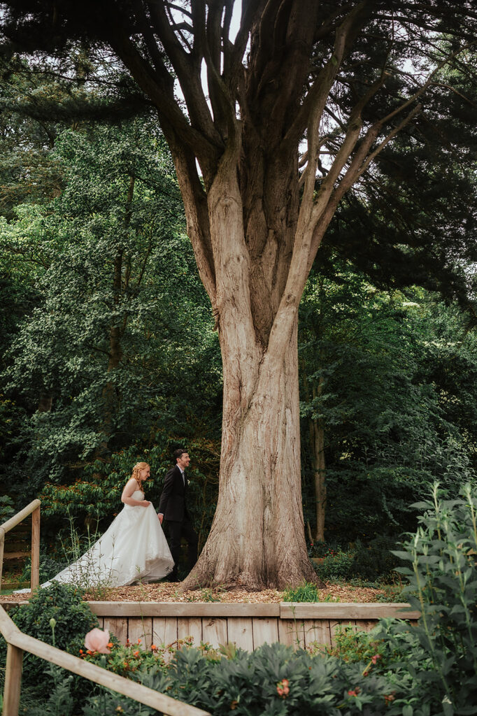Picture of bride and groom in Briarfield Garden near a statuesque tree